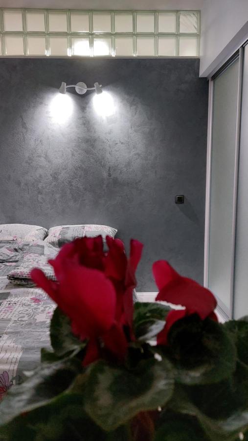 Apartman 23 Belgrad Exteriör bild