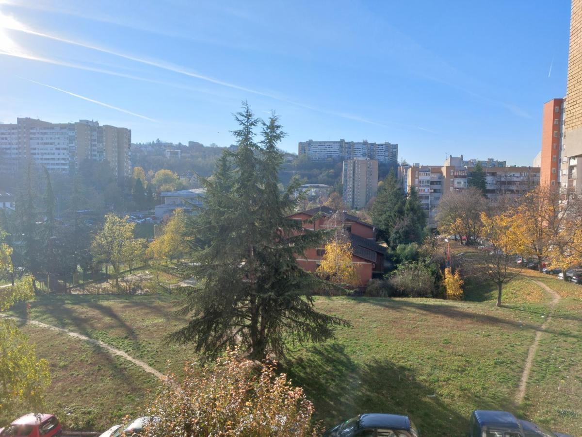 Apartman 23 Belgrad Exteriör bild
